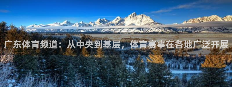 广东体育频道：从中央到基层，体育赛事在各地广泛开展